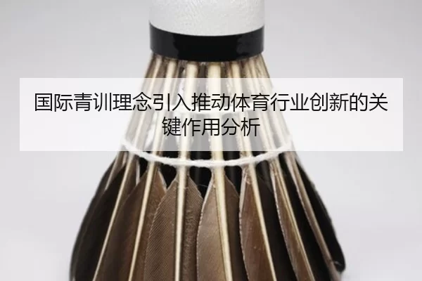 国际青训理念引入推动体育行业创新的关键作用分析